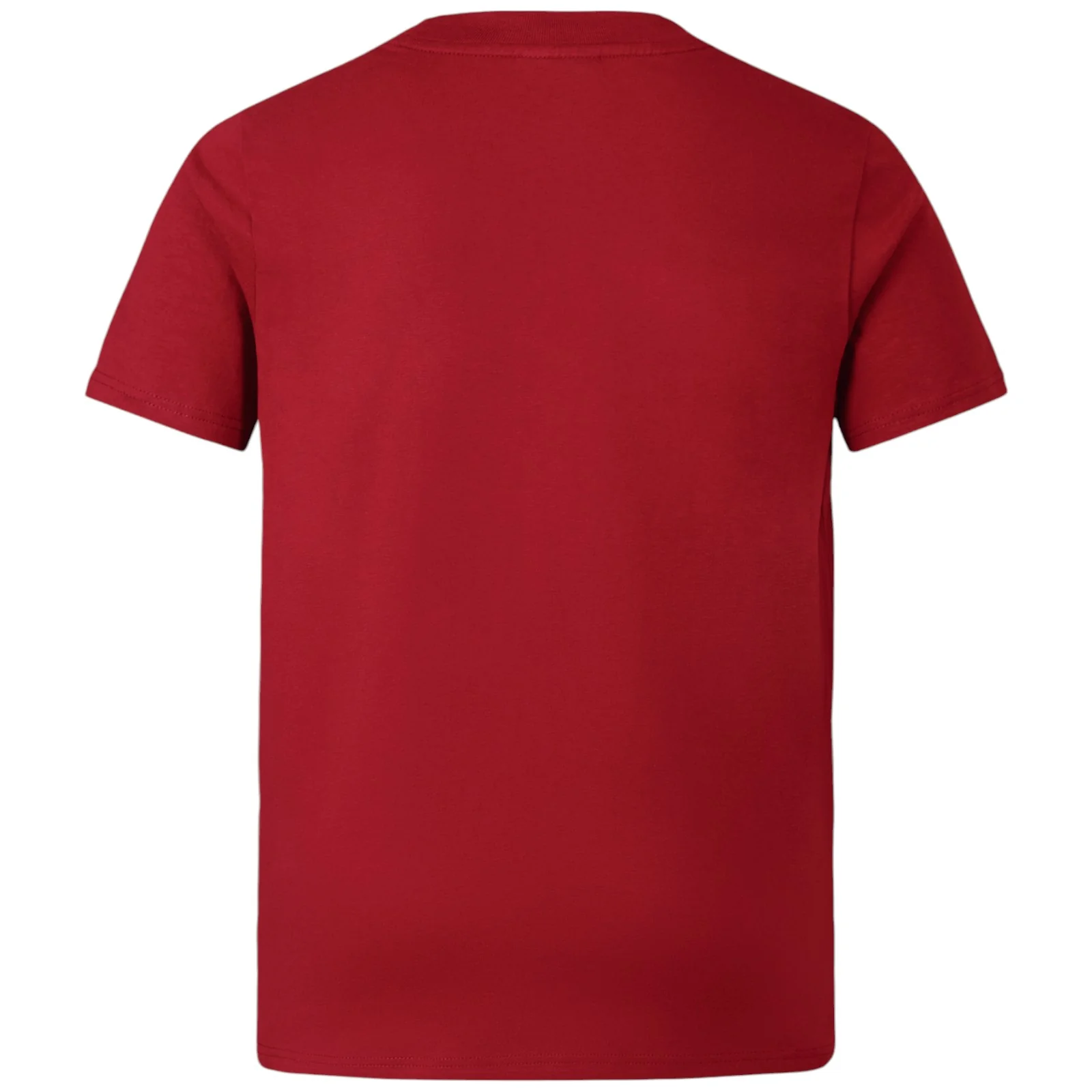Canterbury British &amp; Irish Lions Rugby 2024/25 Kids Short Sleeved Jersey T-Shirt - Image 10