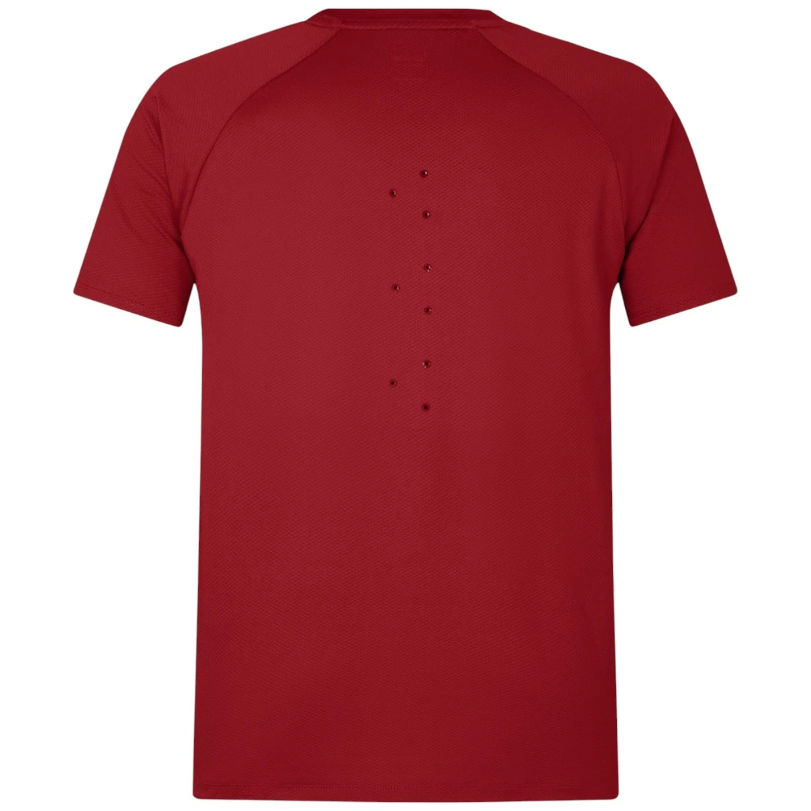 Canterbury British & Irish Lions Rugby 2024/25 Everest Mens Short Sleeved T-Shirt - Image 10
