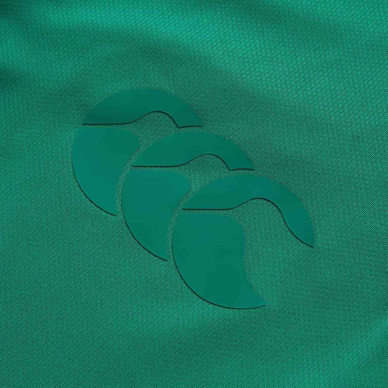 Canterbury IRFU Rugby Ireland 150TH 2024/25 Mens Home Pro Jersey - Image 10