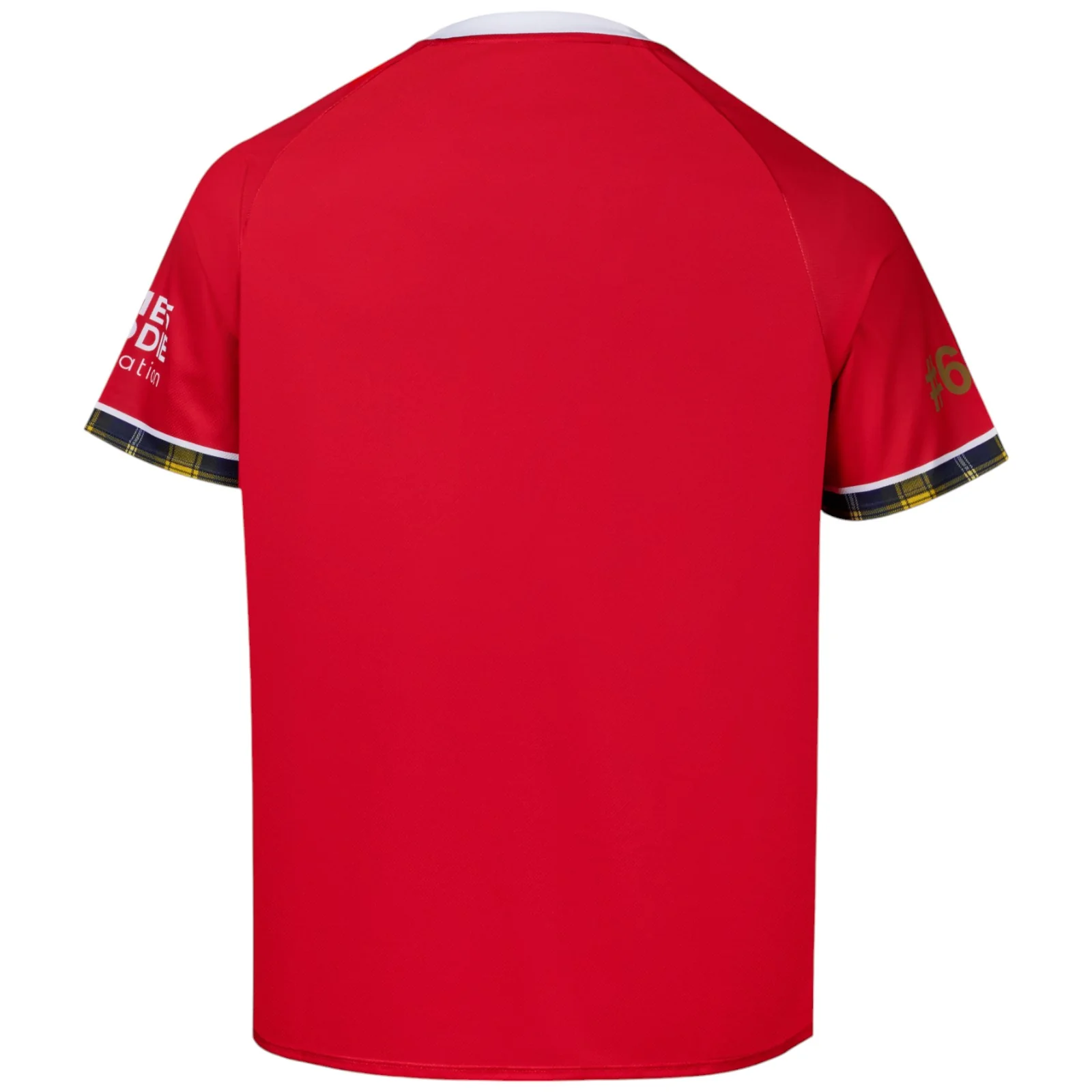 Canterbury British & Irish Lions Rugby MNDF Raglan T-Shirt - Image 9