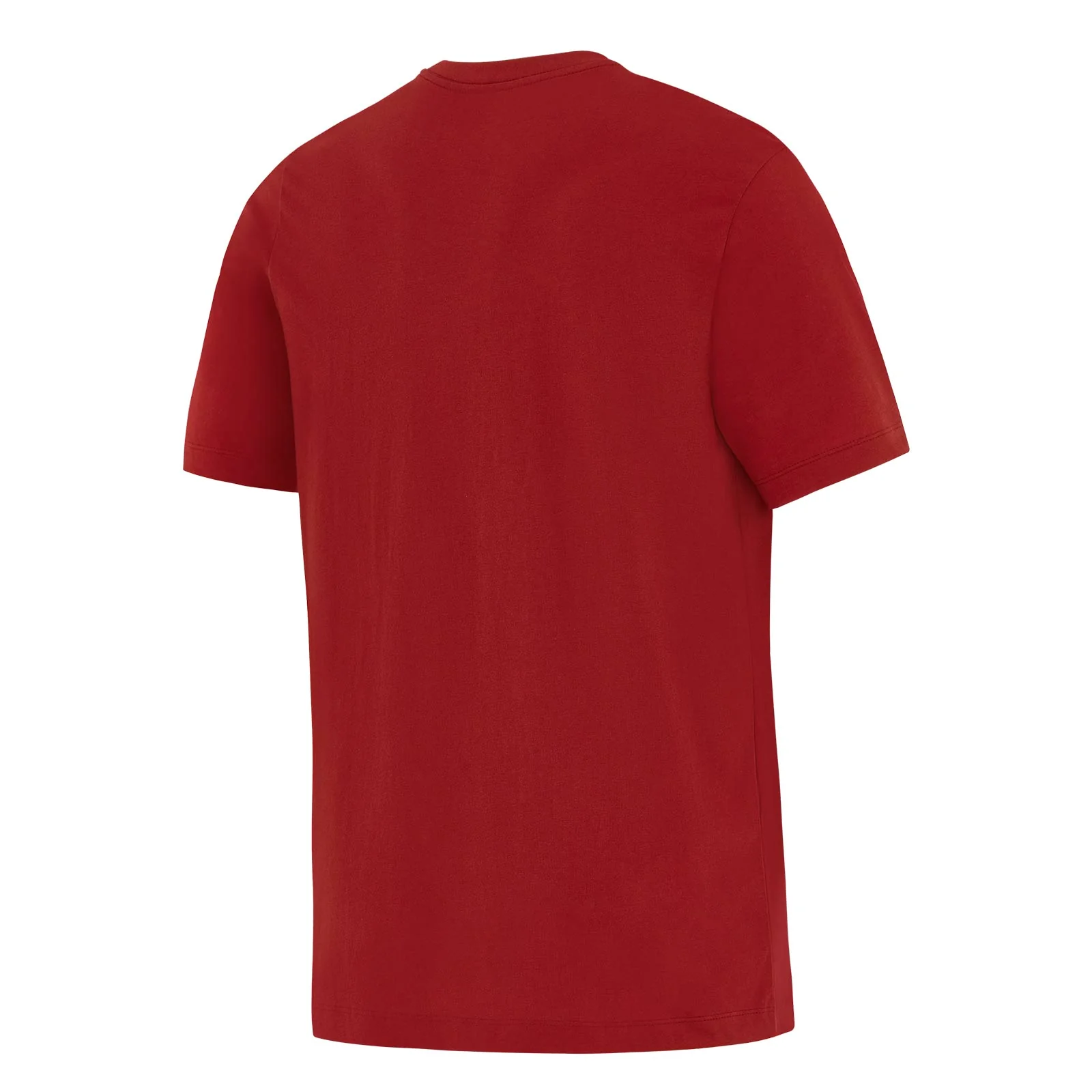 Nike British & Irish Womens Lions Rugby Evergreen Mens T-Shirt - Image 2