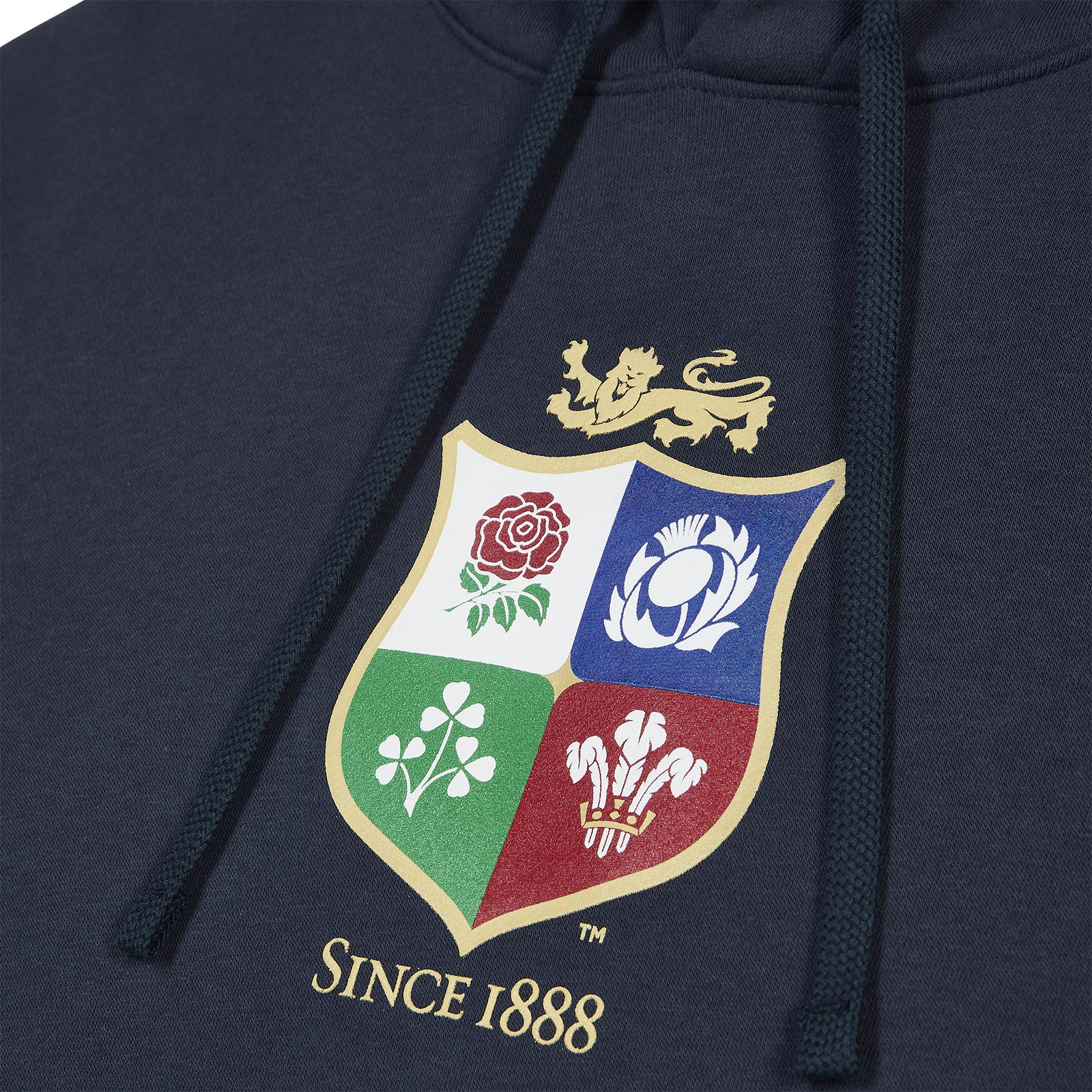 Nike British & Irish Womens Lions Rugby Mens Hoodie - Image 3