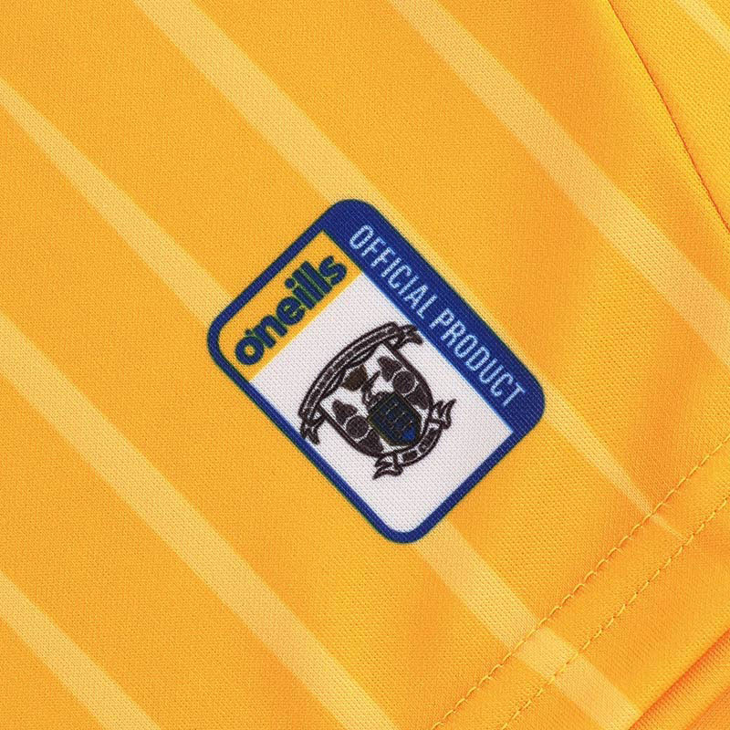 O'Neills Clare GAA 2025 Home Jersey - Image 11