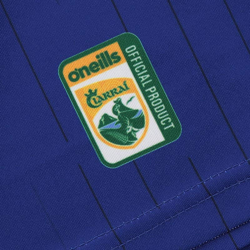 O'Neills Kerry GAA 2025 Alternative Player Fit Jersey - Image 8