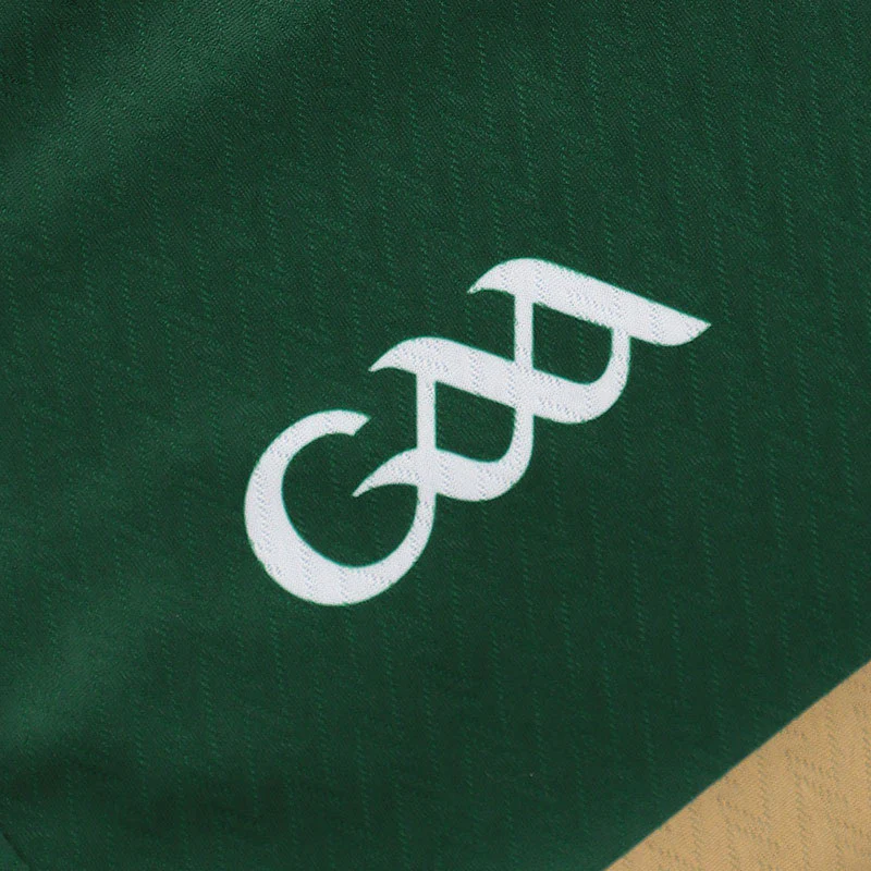 O'Neills Kerry GAA 2026 Womens Fit Home Jersey - Image 5