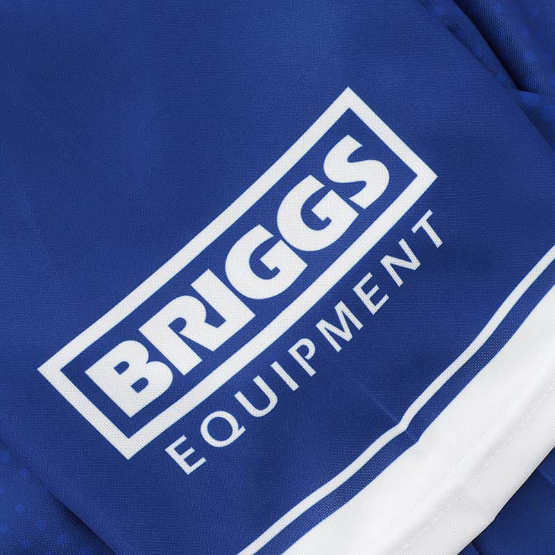 O'Neills Laois GAA 2025 Home Jersey - Image 6