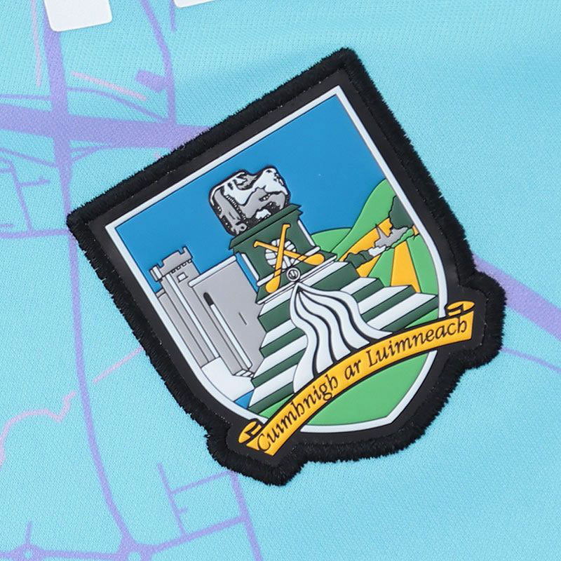 O'Neills Limerick GAA 2025 Goalkeeper Kids Home Jersey - Image 3