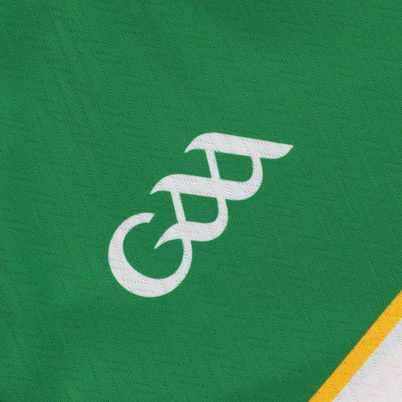 O'Neills Offaly GAA 2026 Player Fit Home Jersey - Image 4