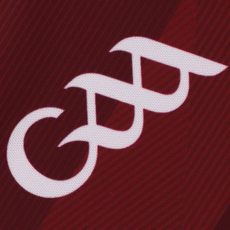 O'Neills Westmeath GAA 2024 Home Kids Jersey - Image 5