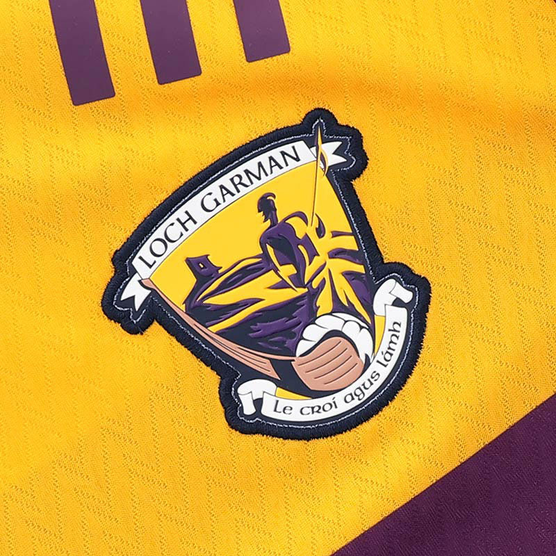 O'Neills Wexford GAA 2026 Player Fit Home Jersey - Image 3