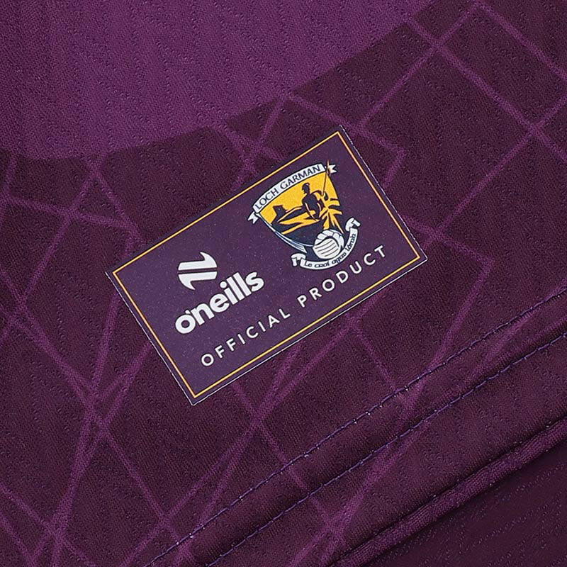 O'Neills Wexford GAA 2026 Player Fit Home Jersey - Image 8