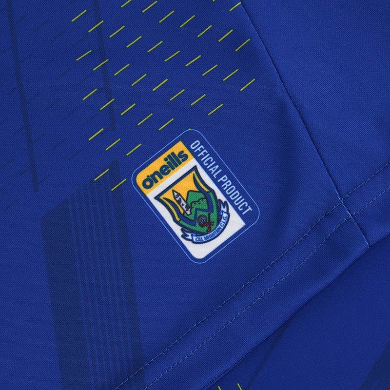 O'Neills Wicklow GAA 2025 Player Fit Home Jersey - Image 11