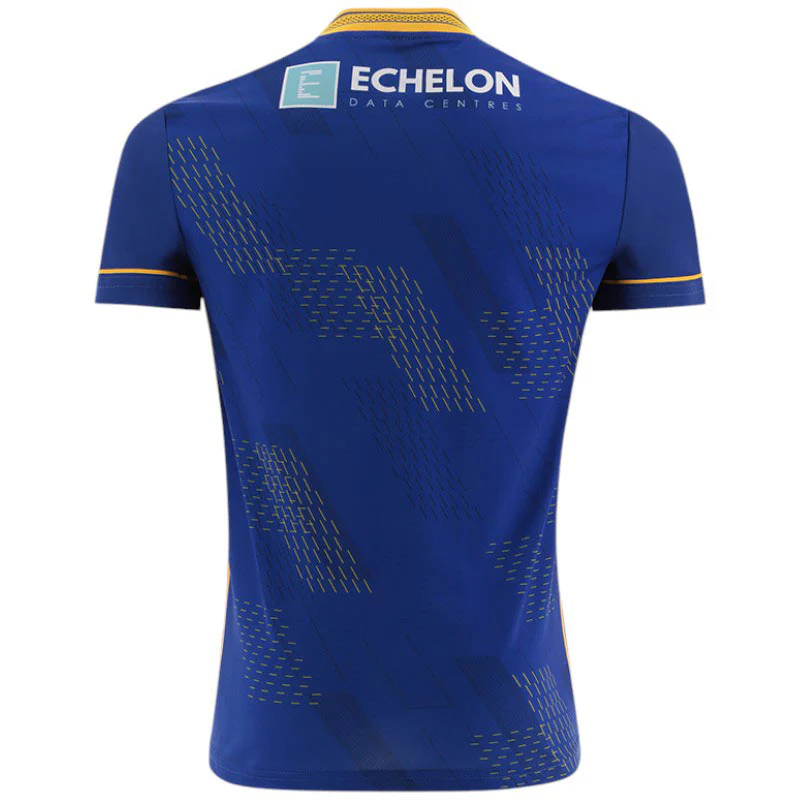 O'Neills Wicklow GAA 2025 Player Fit Home Jersey - Image 2
