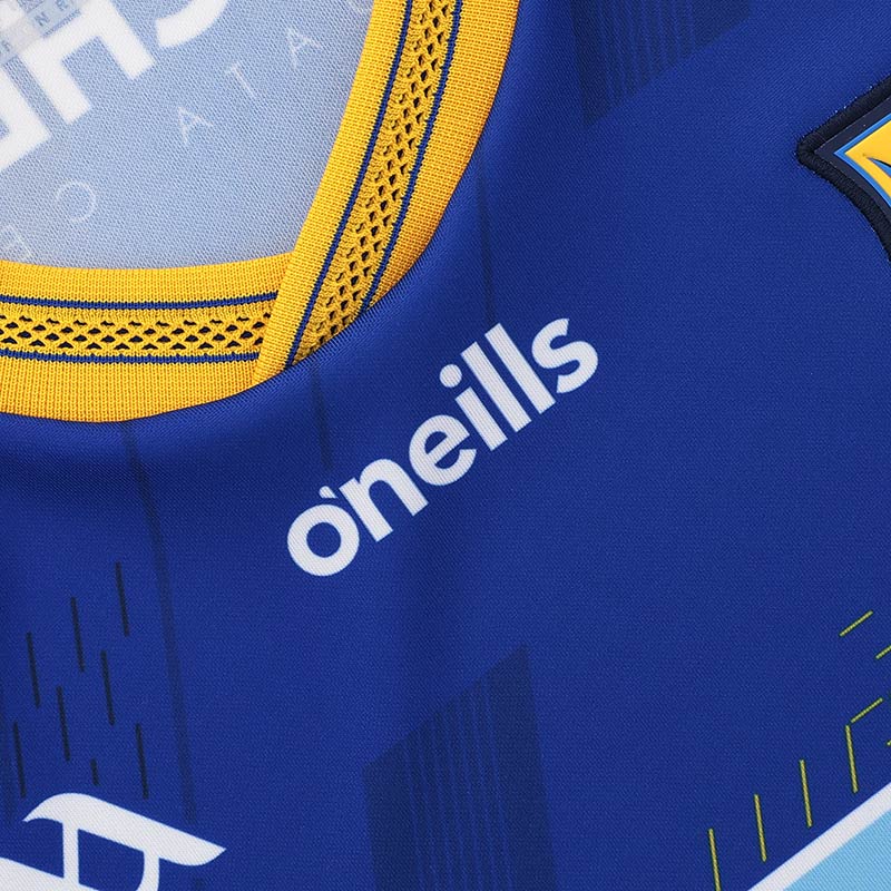 O'Neills Wicklow GAA 2025 Player Fit Home Jersey - Image 4