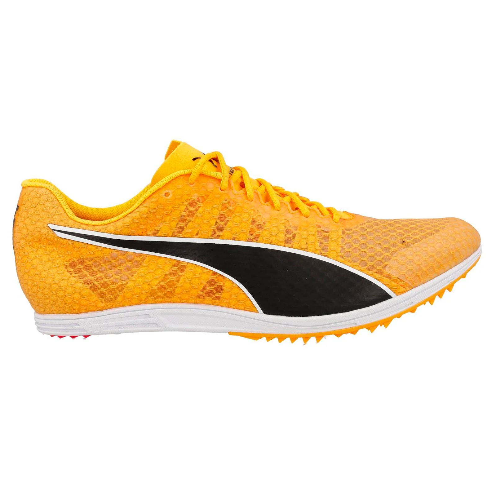 Puma Evospeed Distance 11 Unisex Orange