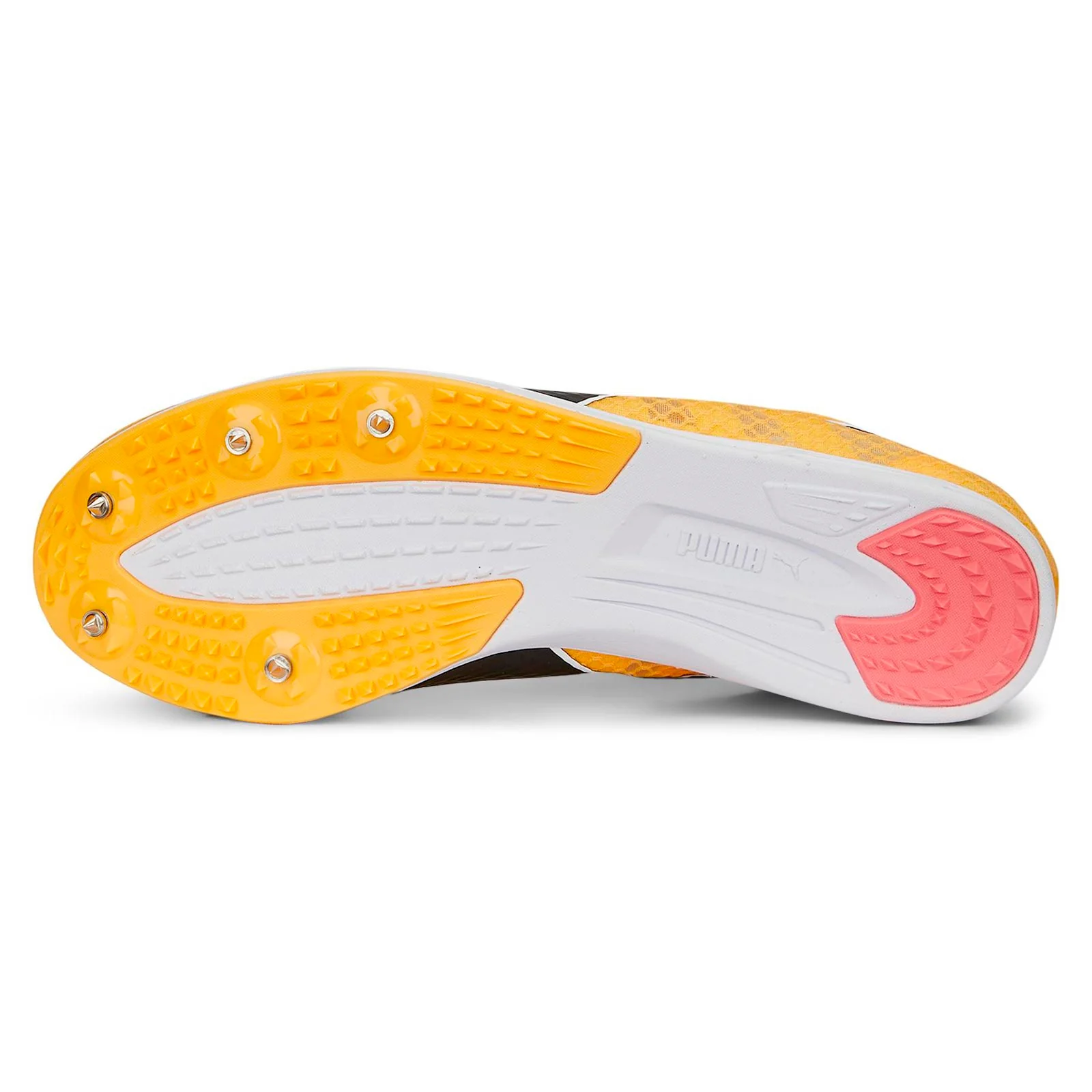 Puma Evospeed Distance 11 Unisex Orange - Image 4